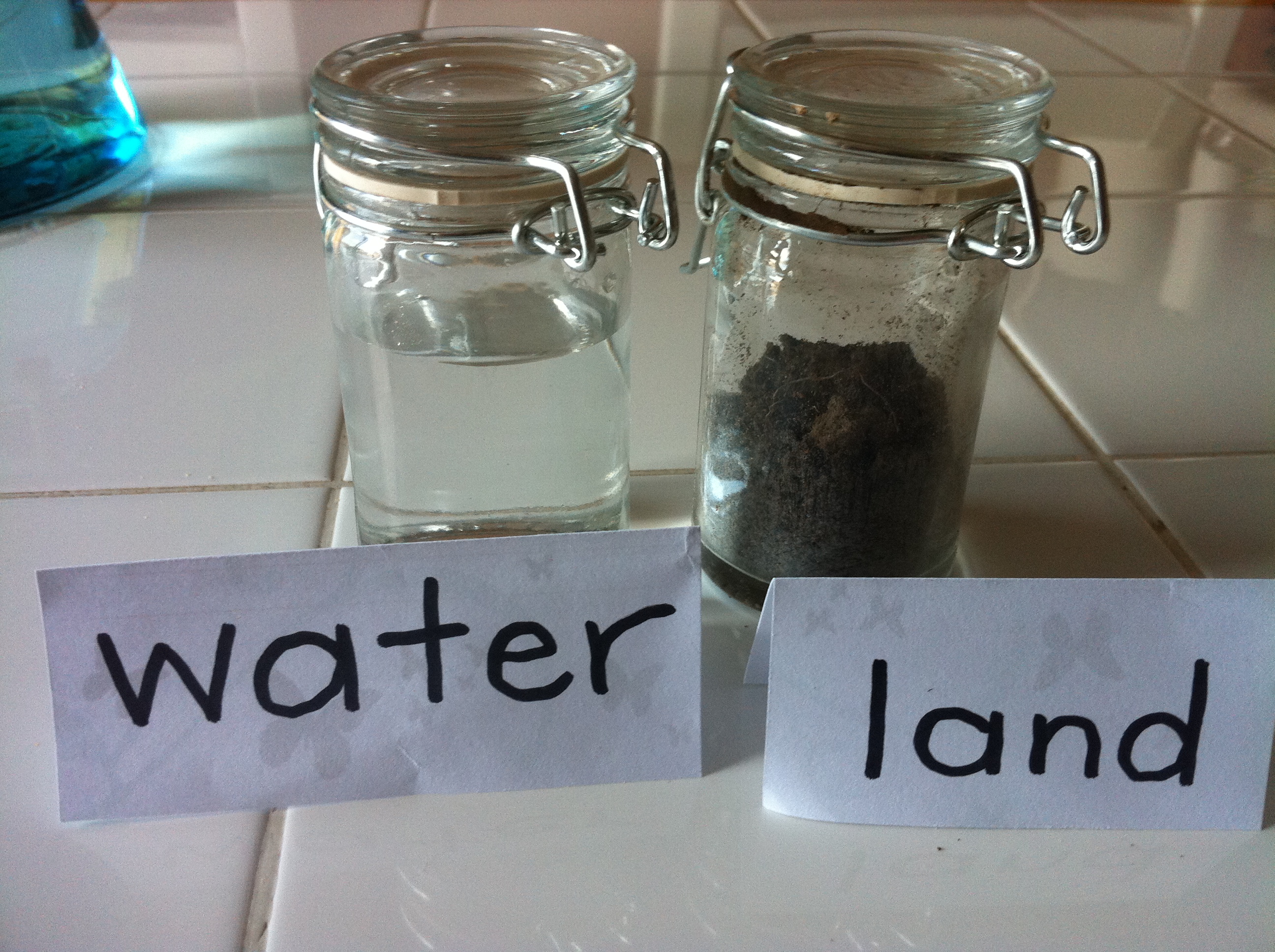 Land animals vs water animals - I'm A Teaching Mom